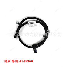 �m��춖|�L����˹�l�әC��� QSL9���Ͱl�әC����4945301 ����