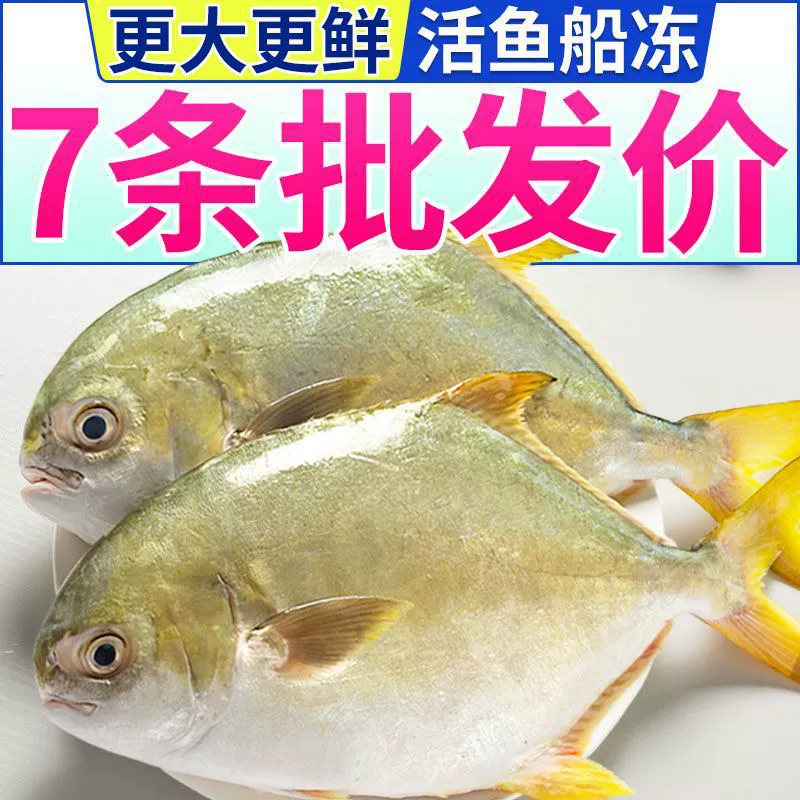 Очень большой золотой помфрет, очень большой замороженный свежий морской чуб, плоская рыба, морепродукты оптом, целая коробка, бесплатная доставка через границу