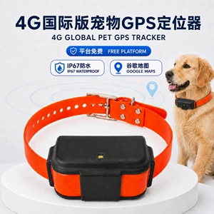 Beynəlxalq GPS it izləyicisi 4G, çoxzolaqlı, suya davamlı, səsli və işıqlı.