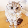 Glasses, sunglasses, UV sun protection cream, trend accessory, doll, pet, cat, UF-protection