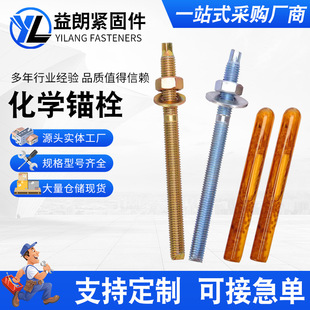 4.8�����W��˨8.8�����W�^˨���W��Û�ݽz��ș��m10m12m16m20mm