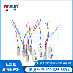 Field Instrument Explosion-proof and Surge-proof Protector 48v RS485 Guangdong Explosion-proof Lightning Protection Device Manufacturer 2-line Production
