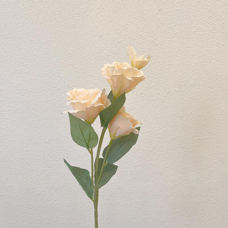 O1CN01viMXOh1z0D0eGuM9q_!!2211