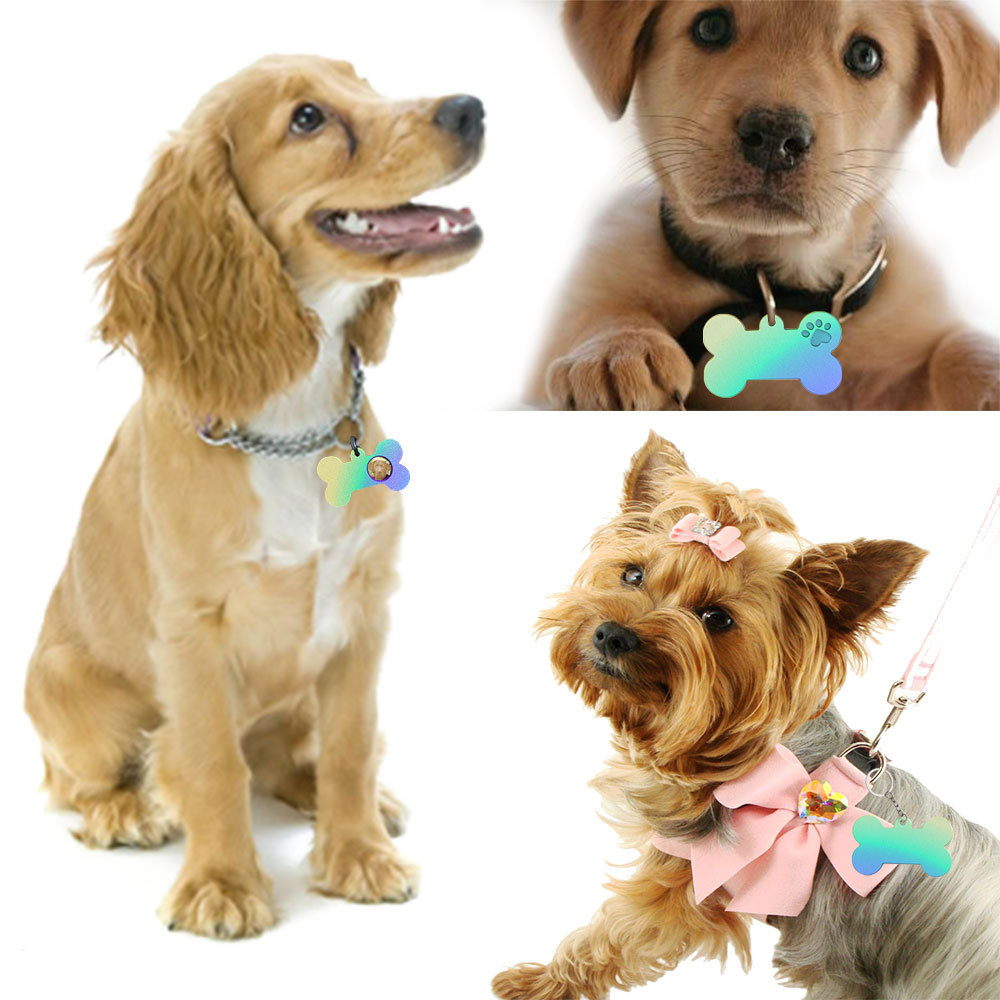 DIY cristal epoxi molde con agujero hueso mascota colgante simple silicona en stock