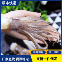 新鲜冷冻鱿鱼头鲜切速冻鱿鱼爪火锅铁板烧烤食材商用海鲜水产批发