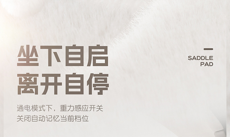 Car Heated Seat Cushion Graphene Long Hair Cigarette Lighter Multi-Speed Adjustment Fast Heating Car Heated Seat Cushion for Winter