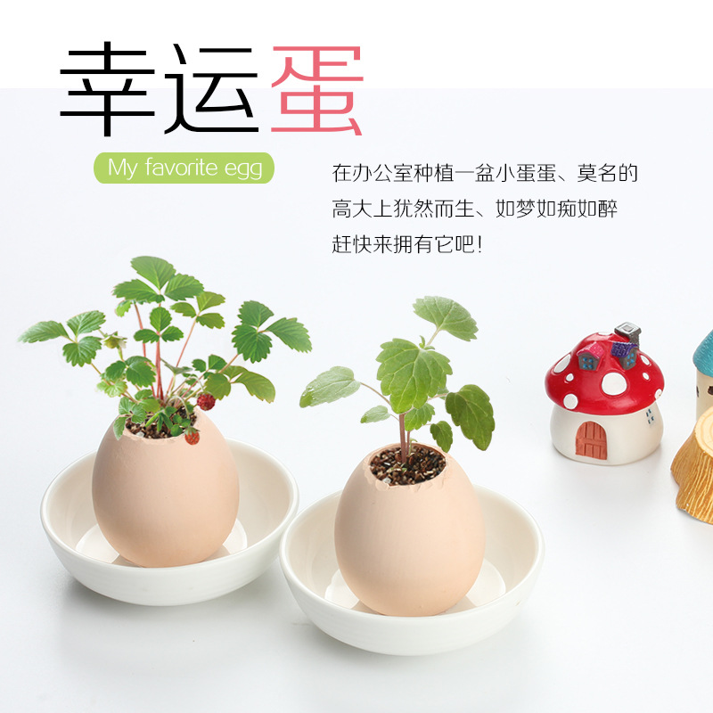 ֲdiy 澰 칫ħħմֲ