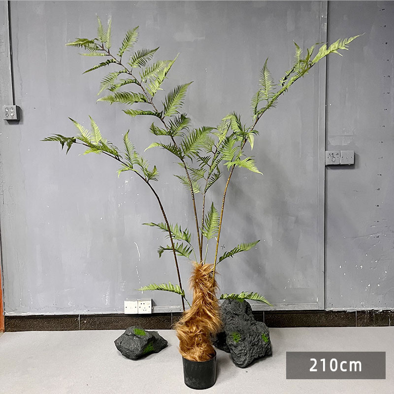 Simulación paisajística de helecho de cabeza de mono plantación de maceta de seda dorada decoración interior plantación de plantas falsas de alta simulación