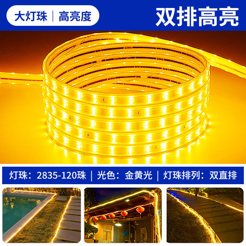 Super bright 2835-120 lamp double straight row golden light