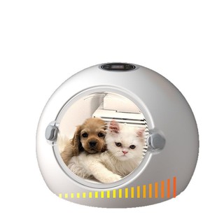 Cat Drying Box Pet Dryer Household Fully Automatic Dog Bathing and Hair Drying and Water Blowing Machine