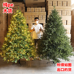 Export high-end pure pe Christmas tree decoration Christmas decorations luminous self-belt lights luxury encryption simulation bare tree