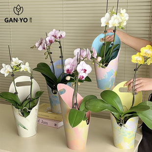 Hong Kong and Ins Style Creative Satchel Flower Box Flower Bouquet Flower Arrangement Box Hand-Held Box Flower Art Flower Shop Handmade DIY Materials