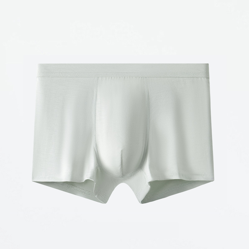 물 난초