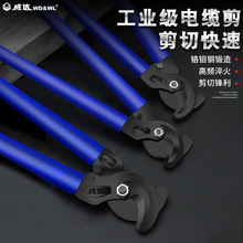 ���_���I����|��늹������ྀ�Q�քӽg�������Q����|����48��