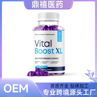 �羳��Ʒ���R�d���N Vital Boost XL ��ʿܛ��Դ�^���Sֱ�l��O EM