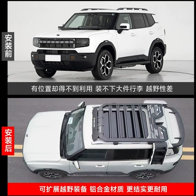 Sales from the Manufacturer, Roof rack