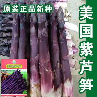 �������J�S�N�Ӷ�������ɫ�J�S�����̨�߮a��ʳ�ļ��߲˷N����