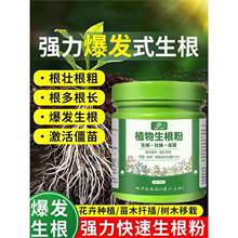 ����������ֲ��ͨ���͹���ľ����Ǥ����焩�Gֲ�I�BҺ�B���ܷ���