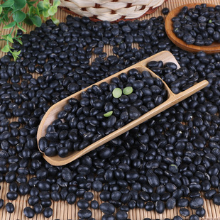 �Gо�ڶ��ּZ�������ʴ򶹝{����s�Z�S���S�ľG�ĸ��N�ڶ�