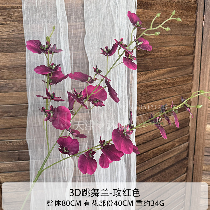 3D 댄싱 오키드