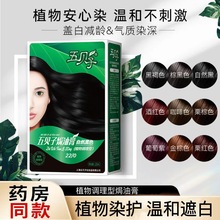 五贝子染发剂染头发霜焗油膏自然黑无刺激不伤发男女遮盖白发