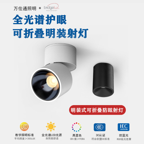 LED surface-mounted spotlights, adjustable angle, folding, anti-glare, high CRI, entrance, aisle, restaurant ceiling lights, track lights