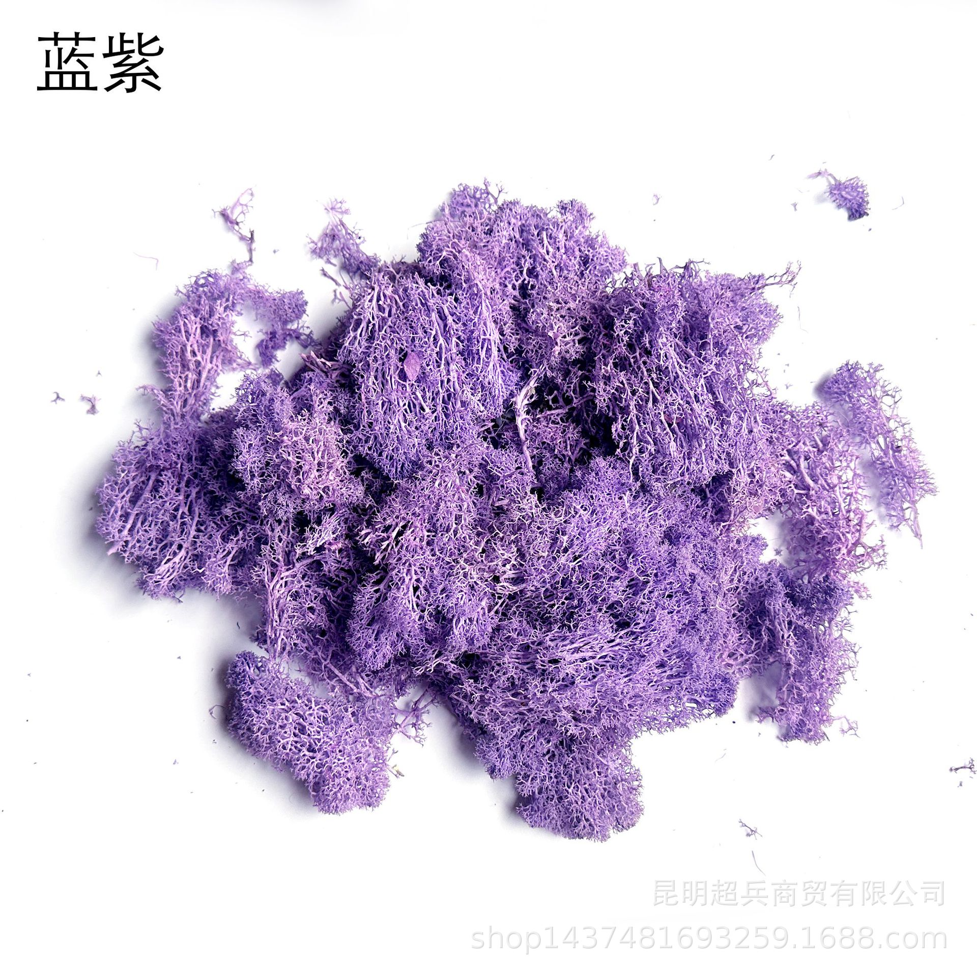 Blue purple