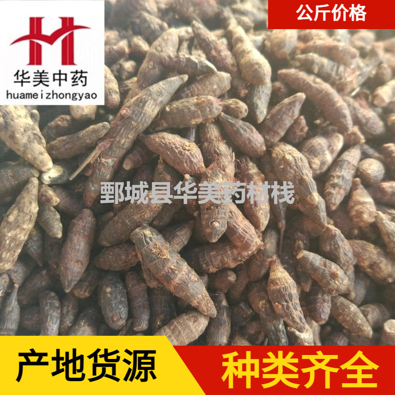 香附1000克【华美中药】中药材批发现货供应【生香附个】量大从优