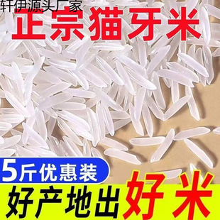 �L������؈������������5��z�������е���i����ճ�´���