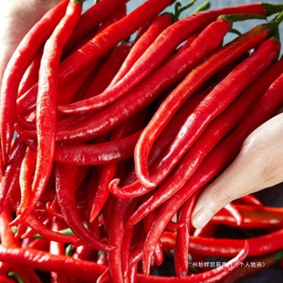 �r�ҬFժ�t���G�l5�����r�����r�t�����t�������������u�罷�ݽ�