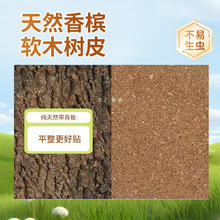 带背板软木树皮背景板宠物造景装饰绿植墙爬宠箱守宫蜥蜴躲避饲养
