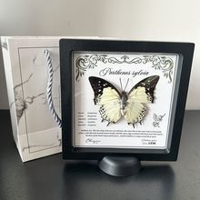 ������˱��Ҹ������Ҿ����w�b[���������նY����ս̌W��Ʒ