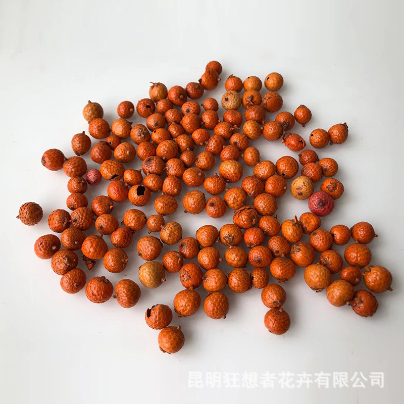 Quả ngọc trai chỉ cam (một túi 20 gam, khoảng 130 miếng)