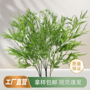 ��c�Gɫ���滨����Ř��~�b�Y�õ����̨�����廨�Ҿ��b��