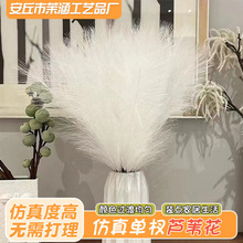 跨境现货批发仿真芦苇北欧橱窗简约装饰蒲苇潘帕斯草狗尾草亚马逊