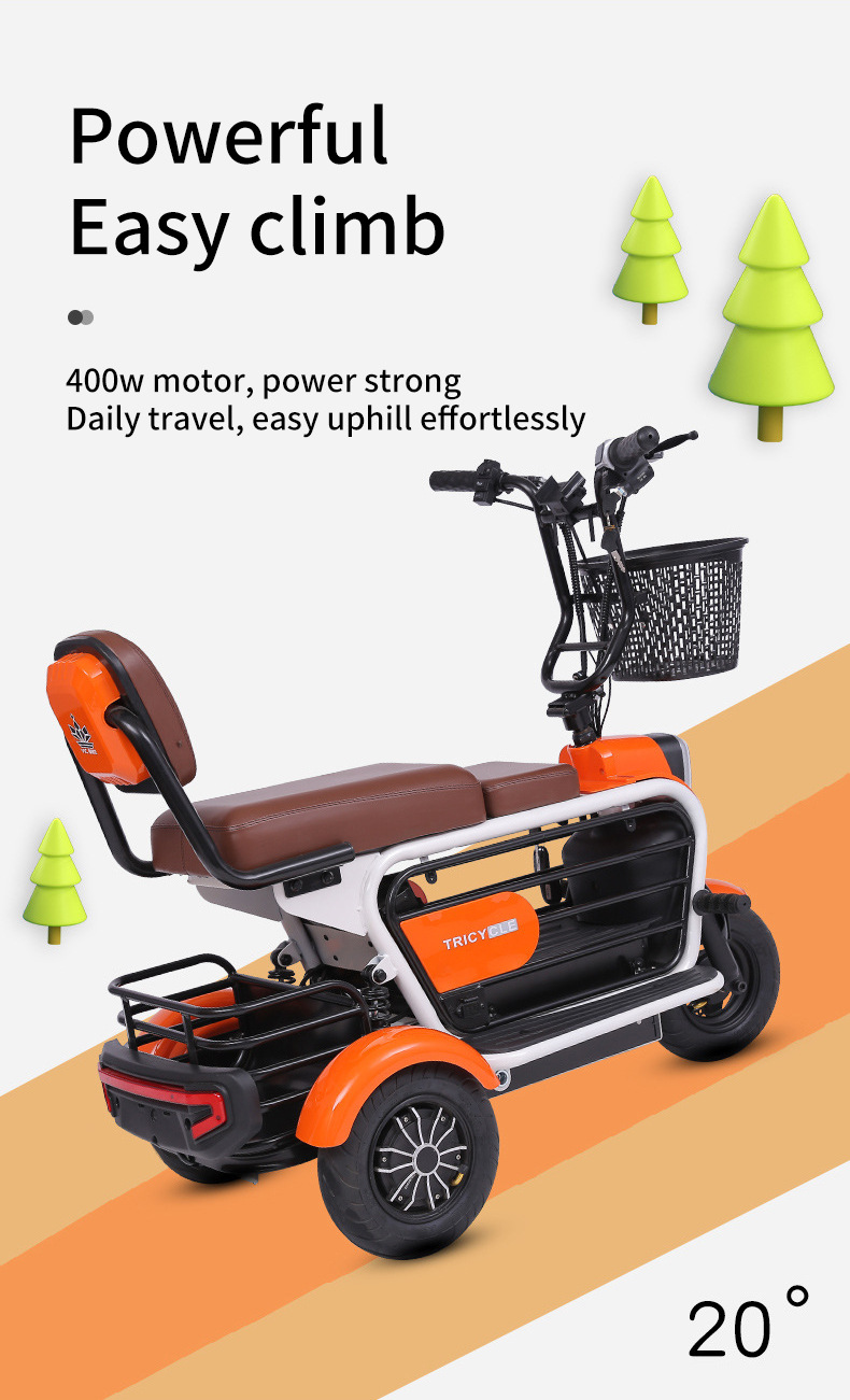 Electric Tricycle for Elderly/Pet Use