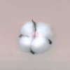 25 cotton heads-suitable for placement