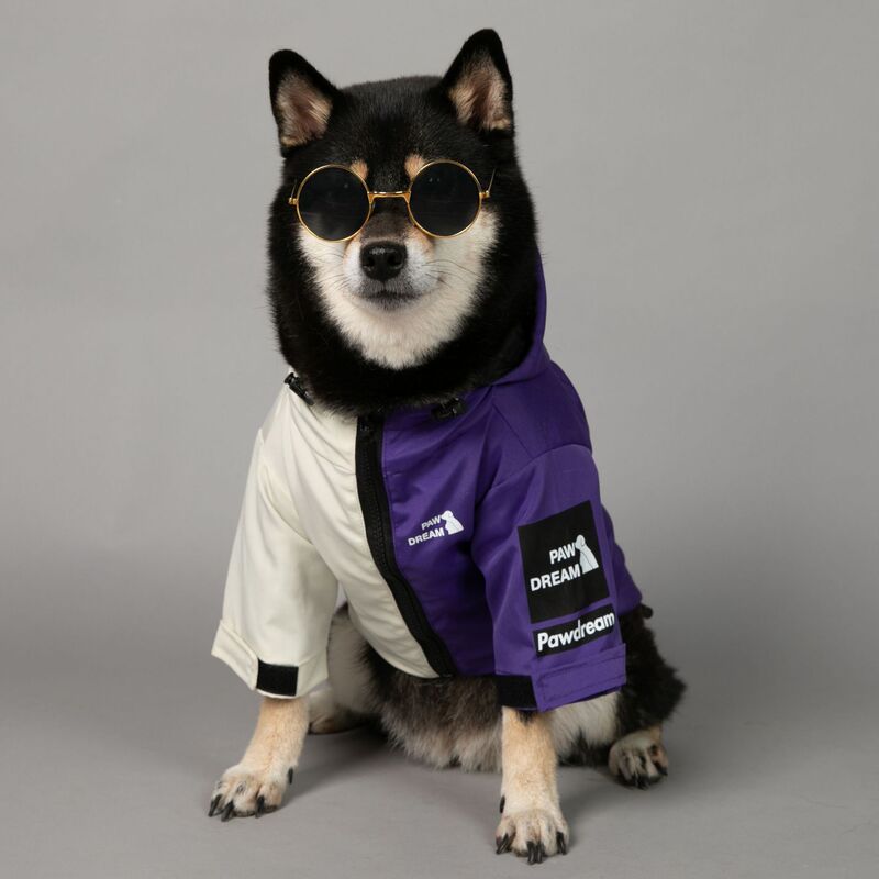 Paw Dream Trendy Windproof and Rainproof North Face Dog Raincoat for Large Dogs Dog Pet Jacket