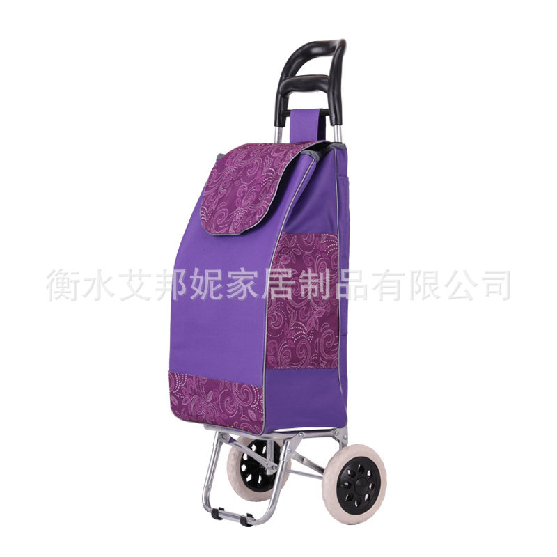 Carrito de compras de verduras pequeño carrito de compras plegable doméstico viejo subir escaleras para comprar carrito de compras de verduras carrito de varilla carrito de mano de ancianos