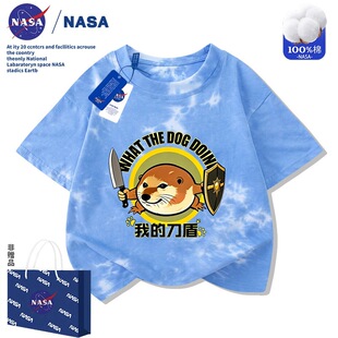 NASA�ҵĵ��ܸ�ֳ�����ͯ������Ⱦ����T���ļ���ͯ��ͨ��������