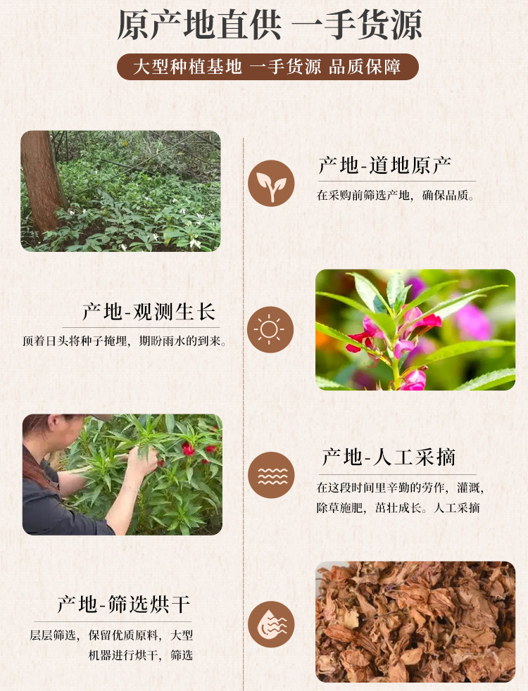 Garden Balsam Flower Powder Feng Xian Hua Fine Ground Herb for Traditional Hair Care and External Herbal Use 500g quality and texture