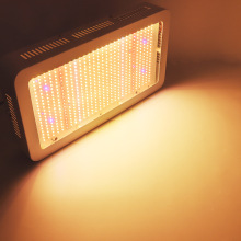 ֲ�����L�a��� ȫ���V 1000W LEDֲ���  �羳