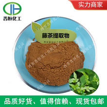 工厂现货 藤茶提取物 藤茶粉 显齿蛇葡萄叶提取物 量大优惠