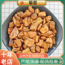 批发菊苣 菊苣根菊苣茶菊苣根茶泡茶花草茶 量大从优