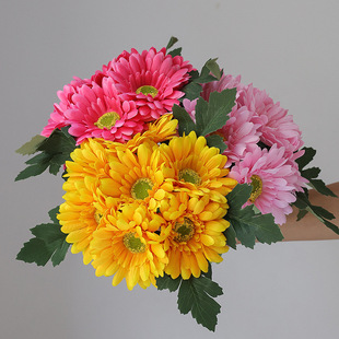 ���滨7�^�������r�ռٻ����ʻ����޾ս����ջ��b����Ҿ��b�