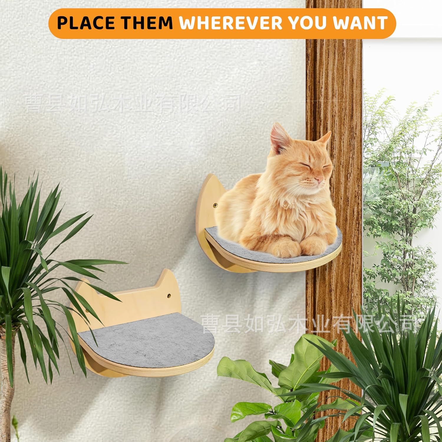 고양이 점프 플랫폼 나무 애완 동물 제품 벽걸이 고양이 등반 랙 애완 동물 고양이 긁기 보드 단단한 나무 고양이 서식지 고양이 둥지