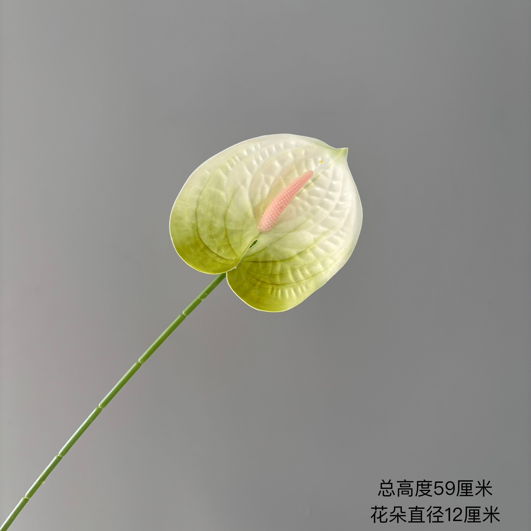 흰색 녹색