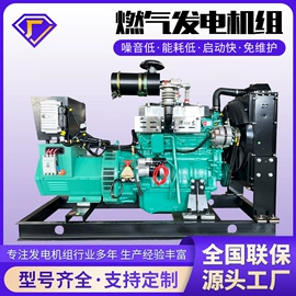 柴油发电机组;燃气发电机组;自吸泵