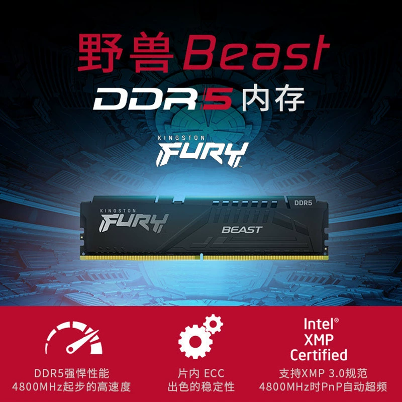 Память Kingston/Kingston DDR5 Beast Beast Hacker God Stick подходит для настольных компьютеров