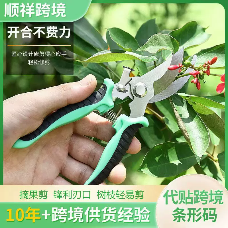 园艺剪刀多功能果树修枝剪防滑手柄园艺工具跨境热卖剪盆栽修理剪
